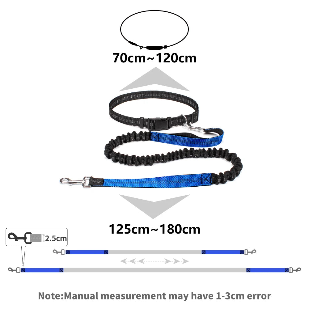 Hand Free Dog Leash for Pet Walking, Running & Jogging