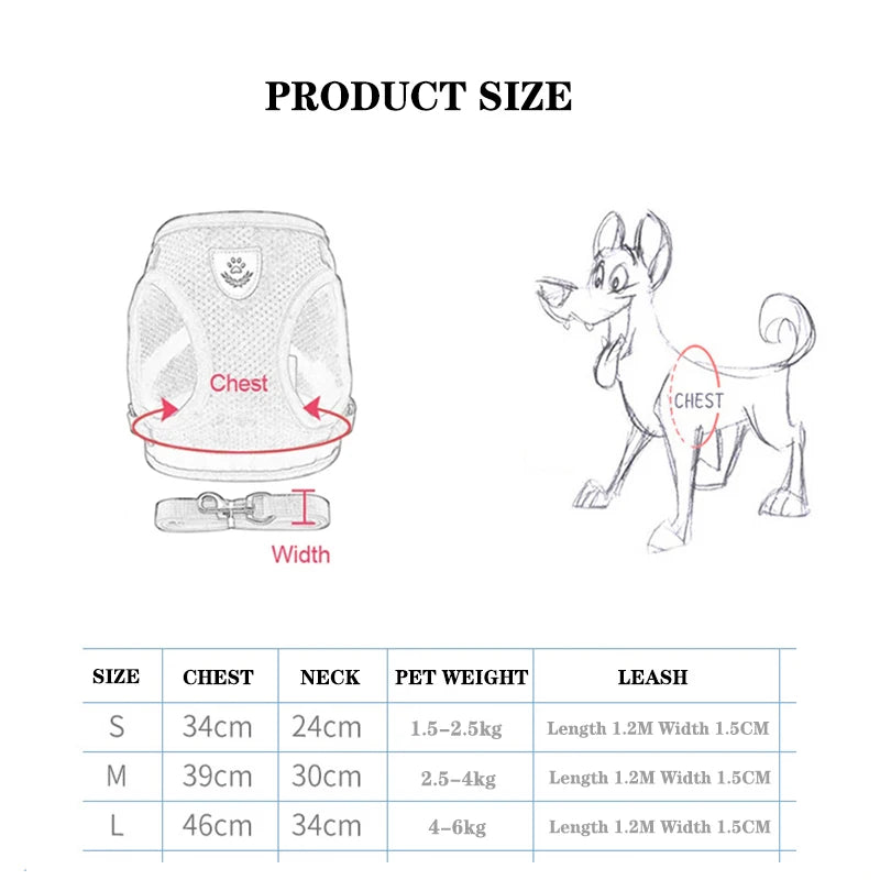 "Pet Walk & Lead Set: Adjustable Cat Harness & Traction Rope"