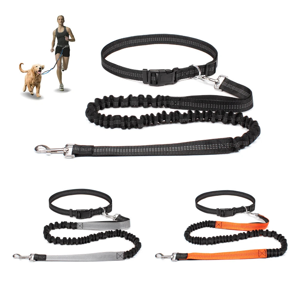 Hand Free Dog Leash for Pet Walking, Running & Jogging