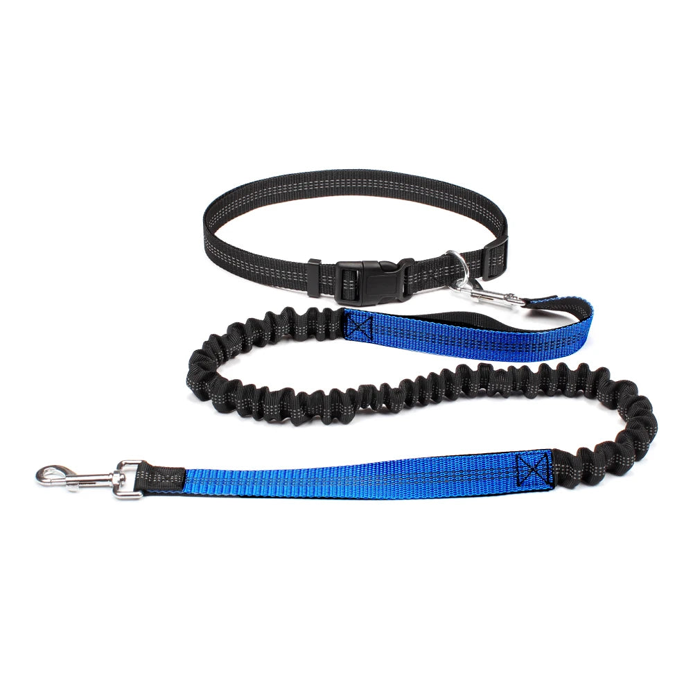 Hand Free Dog Leash for Pet Walking, Running & Jogging