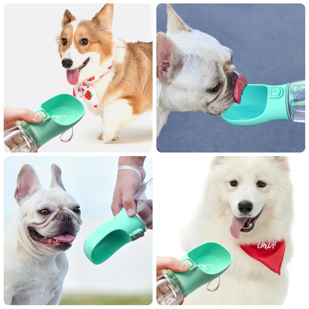 Doggie Drink Dispenser