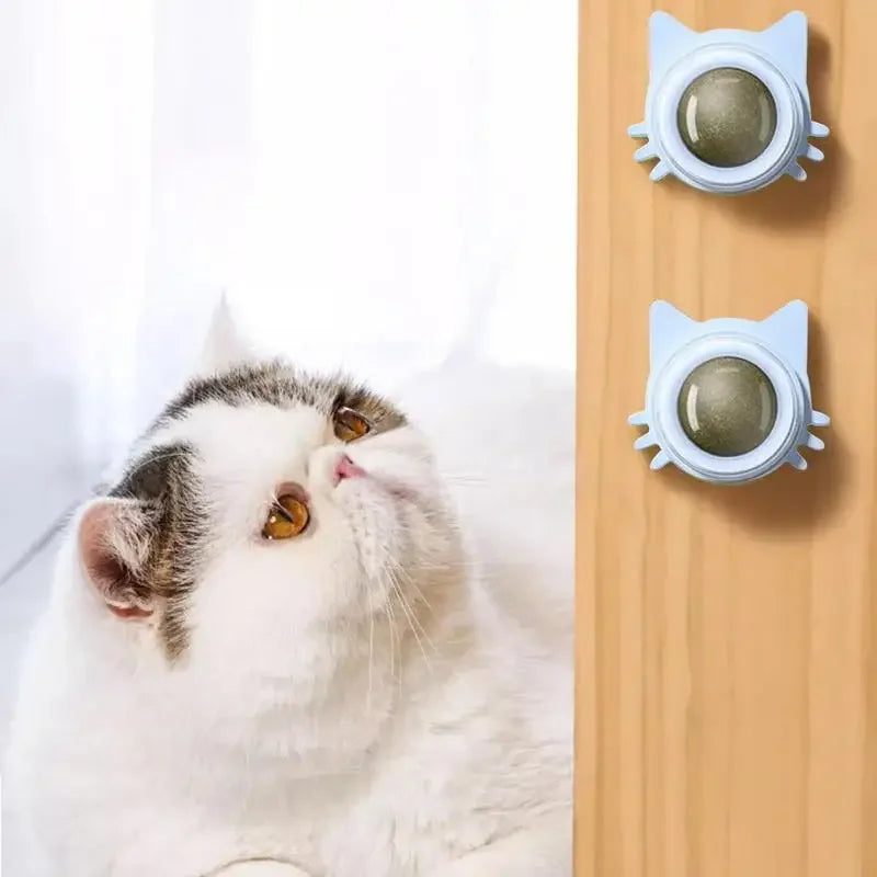 Purrfect Paw-Lickers