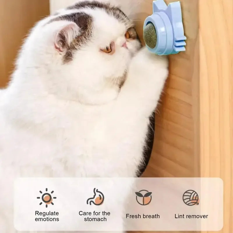 Purrfect Paw-Lickers