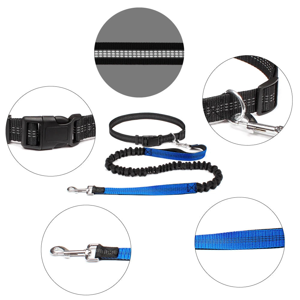 Hand Free Dog Leash for Pet Walking, Running & Jogging