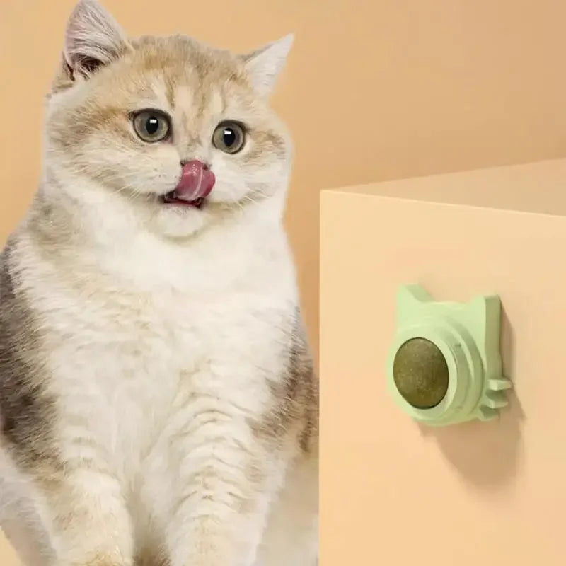 Purrfect Paw-Lickers