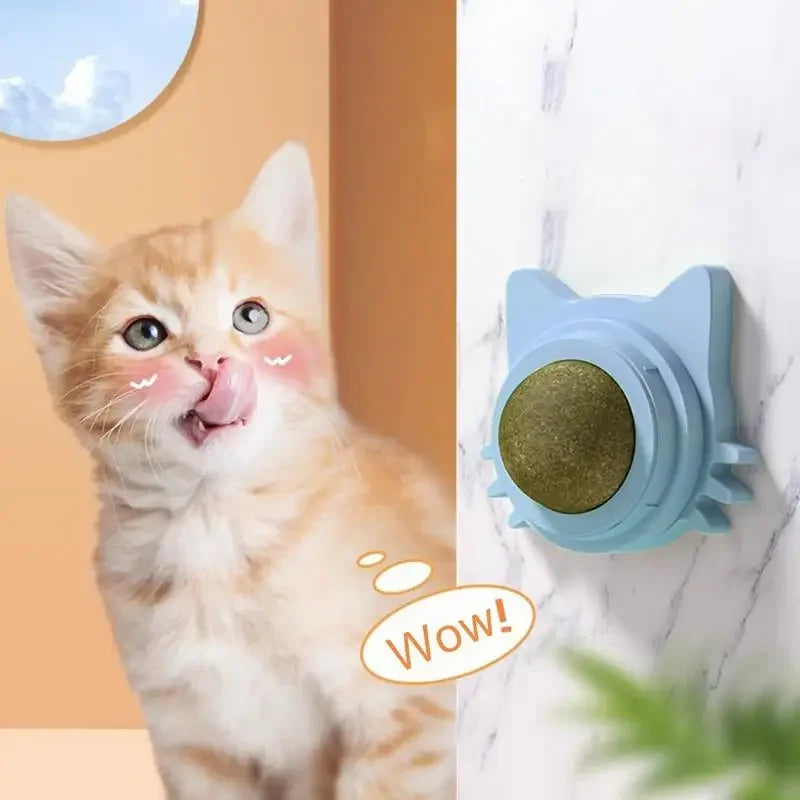 Purrfect Paw-Lickers