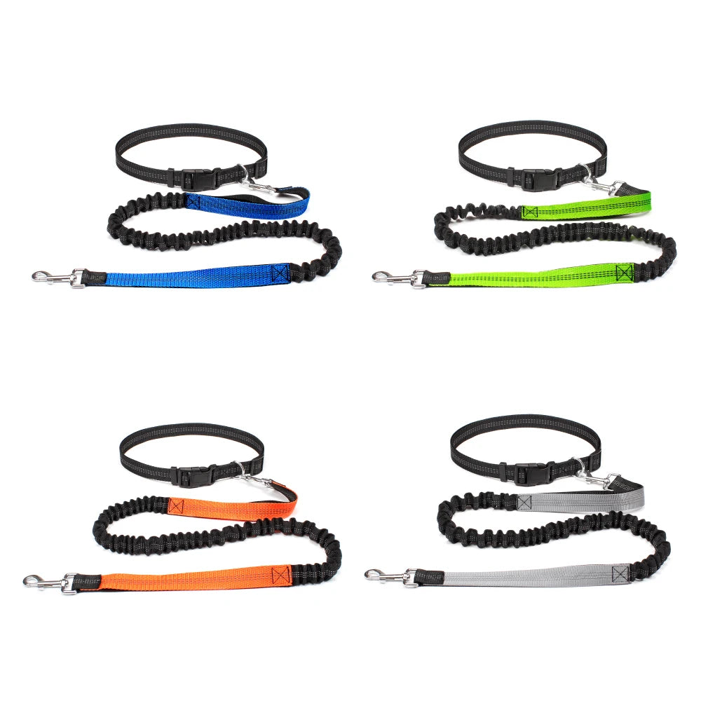 Hand Free Dog Leash for Pet Walking, Running & Jogging