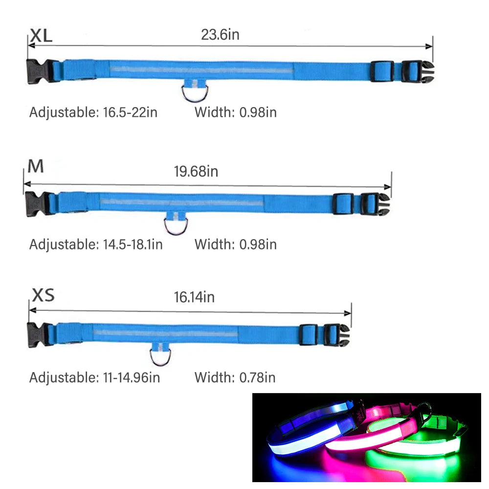 LED Dog Collar