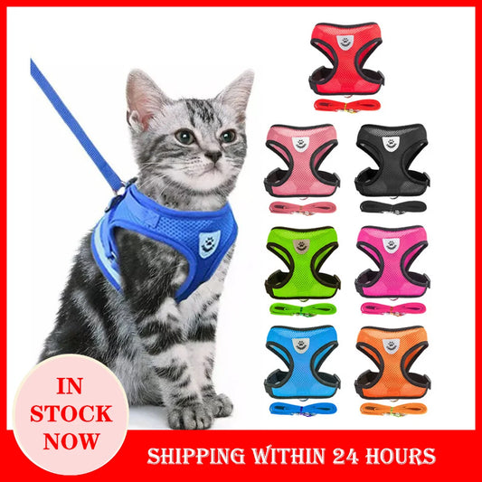 "Pet Walk & Lead Set: Adjustable Cat Harness & Traction Rope"