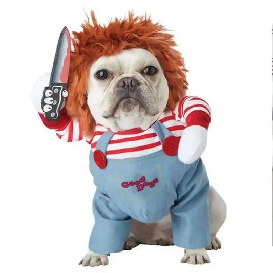 Halloween Pet Costume