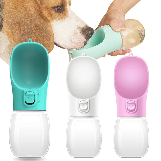 Doggie Drink Dispenser