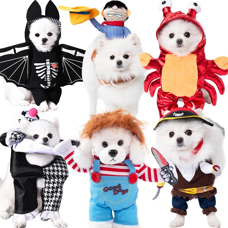 Halloween Pet Costume