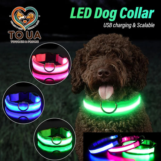 LED Dog Collar